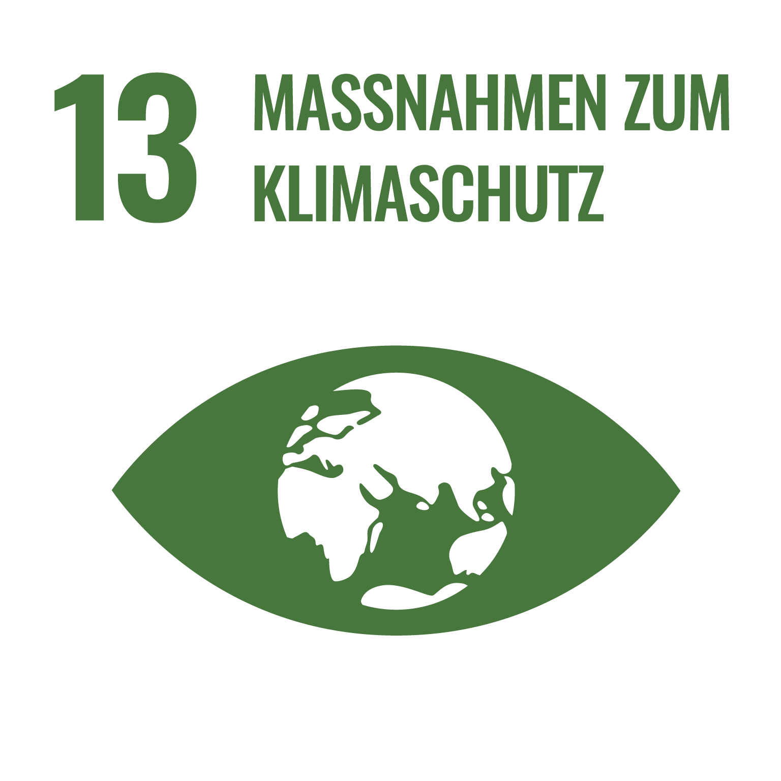 SDG 13